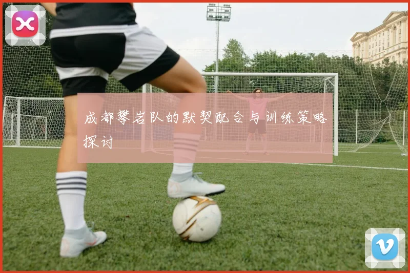 成都攀岩队的默契配合与训练策略探讨