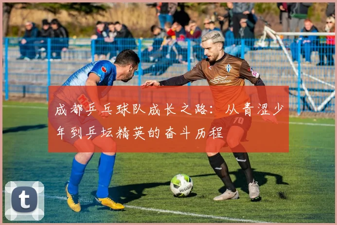成都乒乓球队成长之路：从青涩少年到乒坛精英的奋斗历程