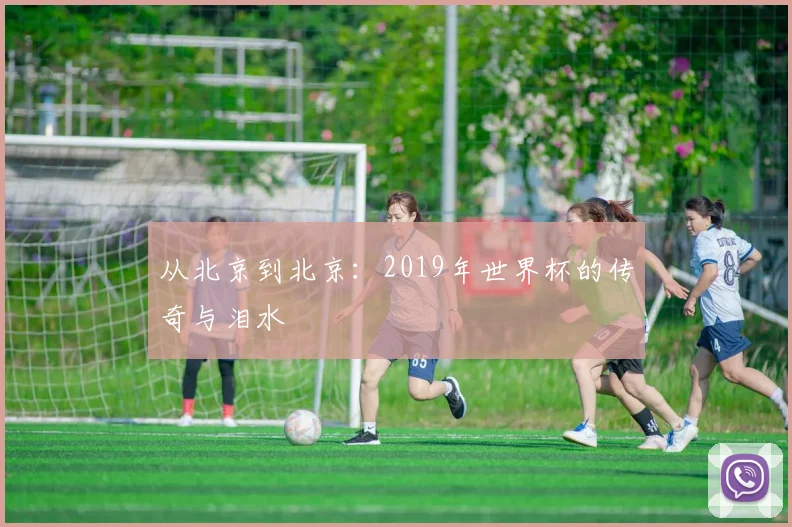 从北京到北京：2019年世界杯的传奇与泪水